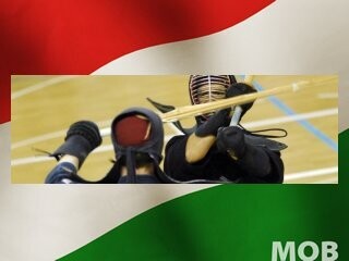 Példátlan összefogás a magyar kendó-válogatottért - a MOB is segített
